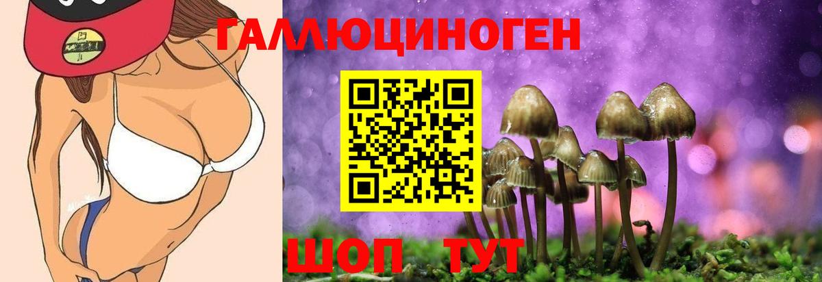 Псилоцибиновые грибы мицелий  Вход с VPN  Саранск 
